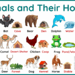 Animals Home Name | List of All Animals and Their Home