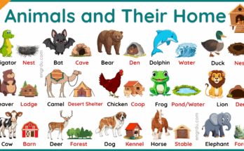 Animals Home Name | List of All Animals and Their Home