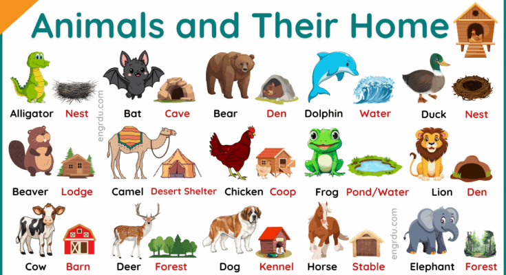Animals Home Name | List of All Animals and Their Home