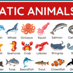 100+ Aquatic Animals Name with Their Pictures and PDF