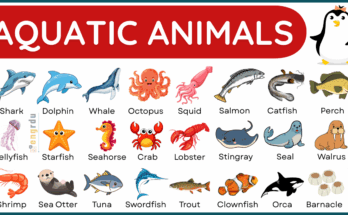 100+ Aquatic Animals Name with Their Pictures and PDF
