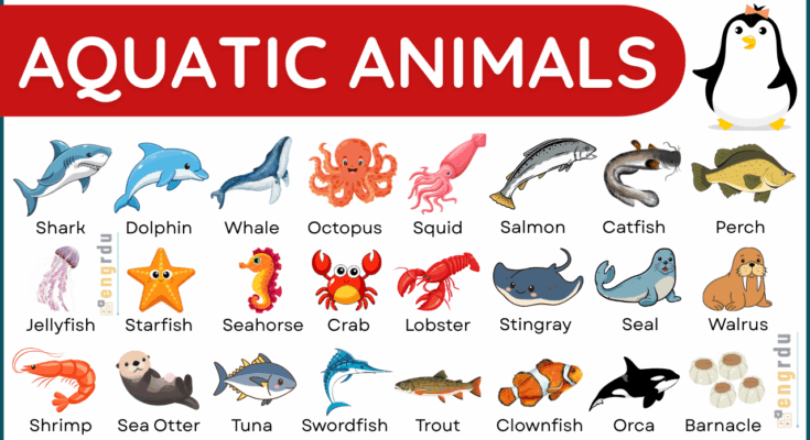 100+ Aquatic Animals Name with Their Pictures and PDF