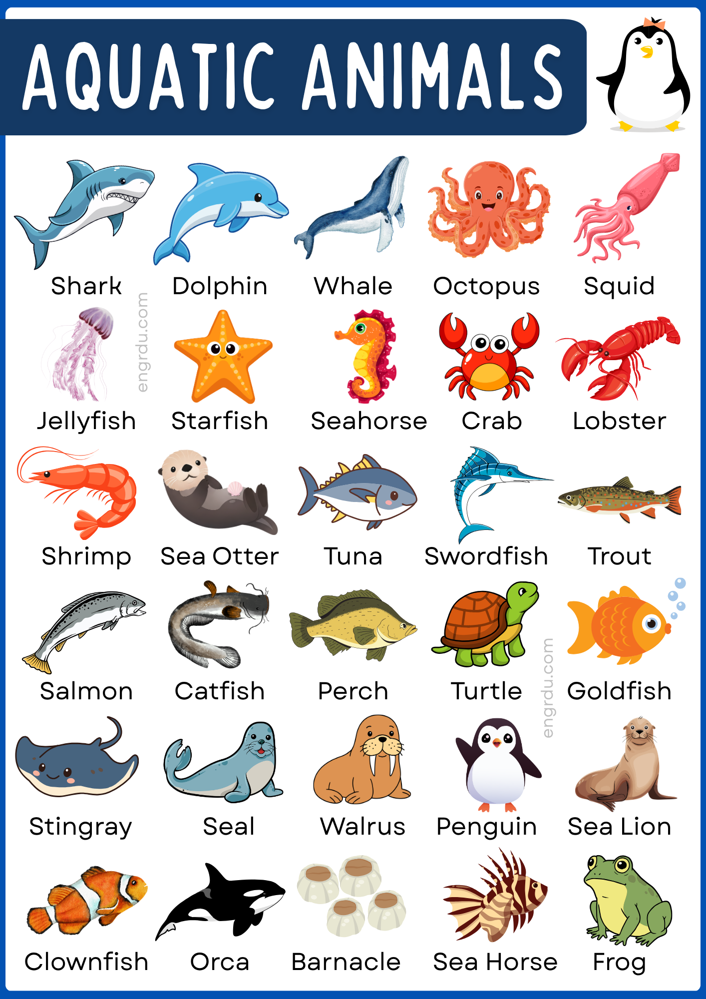 100+ Aquatic Animals Name with Their Pictures and PDF