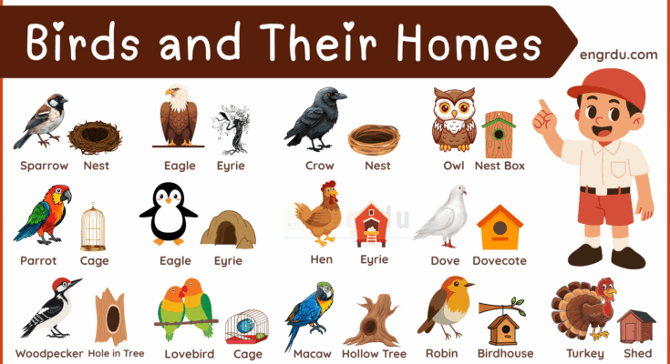 Bird and House Names: Learn 100+ Birds and Their Homes
