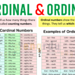 Cardinal and Ordinal Numbers