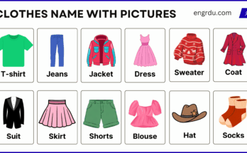 Types of Clothing | Casual, Formal, Seasonal and Traditional Dressing