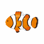 Clownfish As a Water Animal