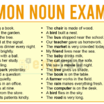 Common Noun Examples