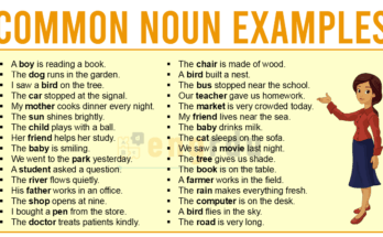 Common Noun Examples