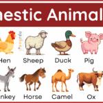 25+ Domestic Animals Name in English with Their Pictures