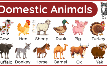 25+ Domestic Animals Name in English with Their Pictures