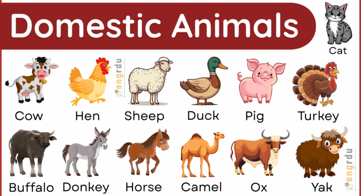 25+ Domestic Animals Name in English with Their Pictures