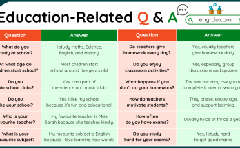 100+ Education Related Questions and Answers