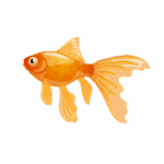 Goldfish As a Water Animal