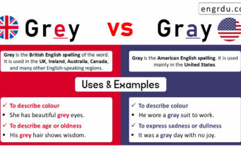 Grey vs Gray – What’s the Difference?