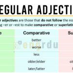Irregular Adjectives Definition with Examples