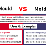Mold vs Mould