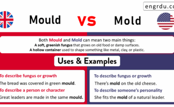 Mold vs Mould