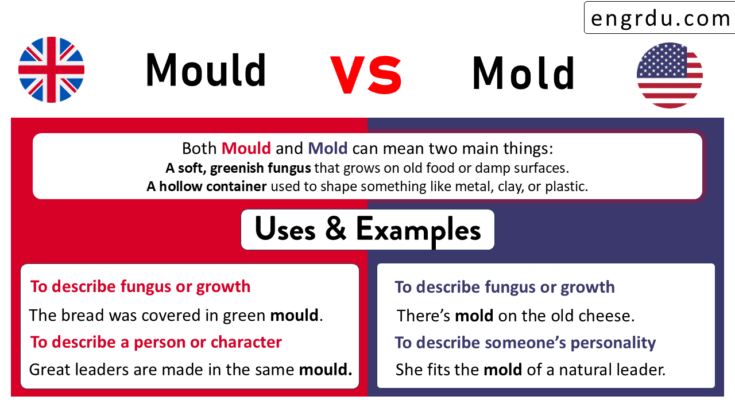 Mold vs Mould