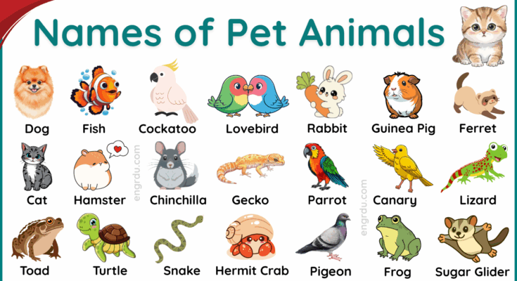 Pet Animals Name in English with Their Pictures