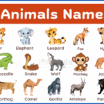 100+ Wild Animals Name with Types, Pictures, and PDF