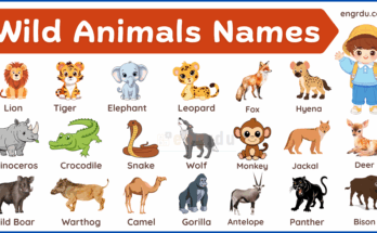 100+ Wild Animals Name with Types, Pictures, and PDF
