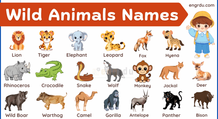 100+ Wild Animals Name with Types, Pictures, and PDF