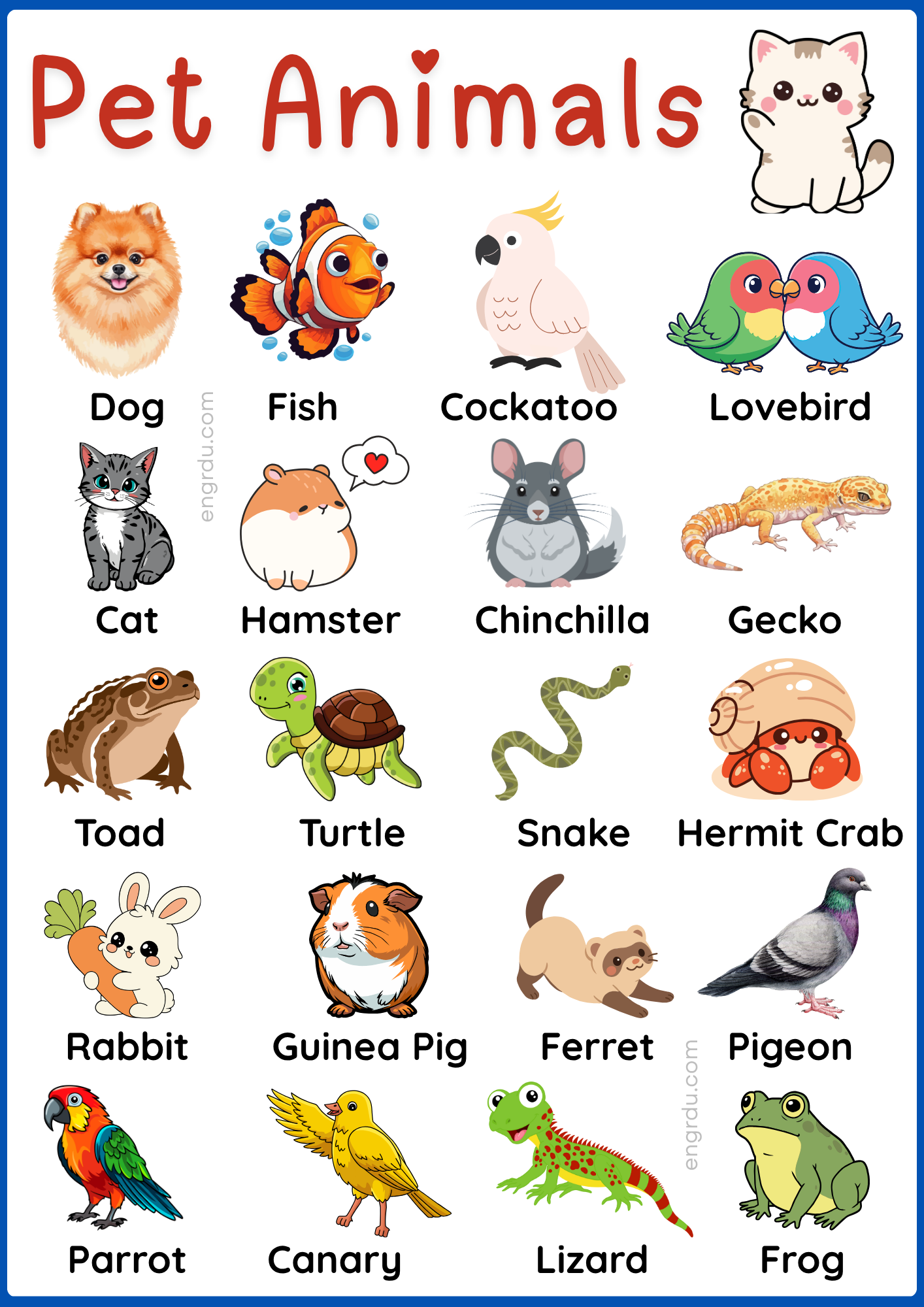 Pet Animals Name in English with Their Pictures