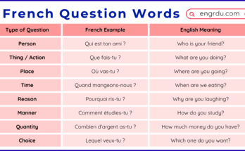 Question Words in French