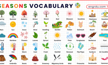 100 Beautiful Seasons Vocabulary Words in English with Pictures