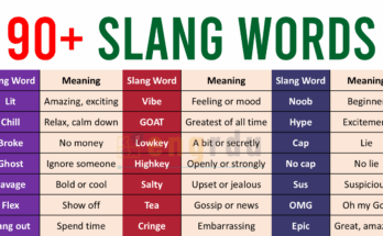 Common Slang Words with Meanings