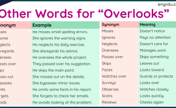 40 Other Words for Overlooks with Useful Examples
