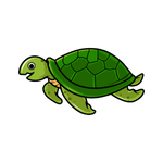 Turtle as a Pet