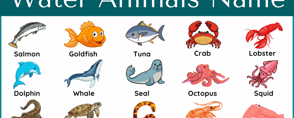 Water Animals Name in English with Their Pictures