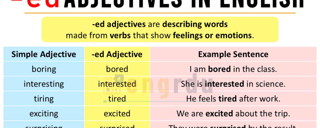 -ed Adjectives Explained in English with Examples
