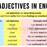 -ed Adjectives Explained in English with Examples