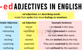 -ed Adjectives Explained in English with Examples