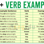 100 Verb Examples