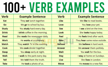 100 Verb Examples