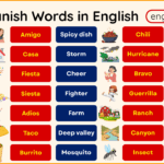 20 Spanish Words in English with Meanings