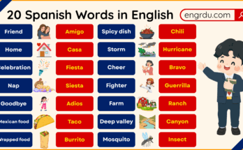 20 Spanish Words in English with Meanings