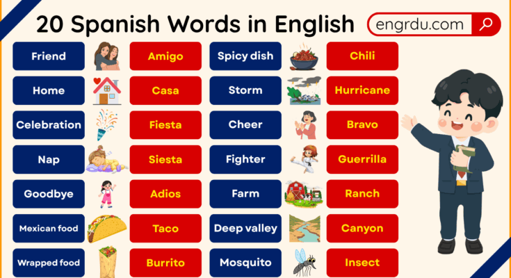 20 Spanish Words in English with Meanings