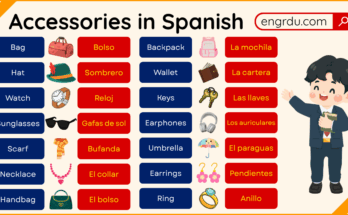 Accessories in Spanish with Pictures