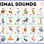100 Animal Sounds in English with Animals Pictures