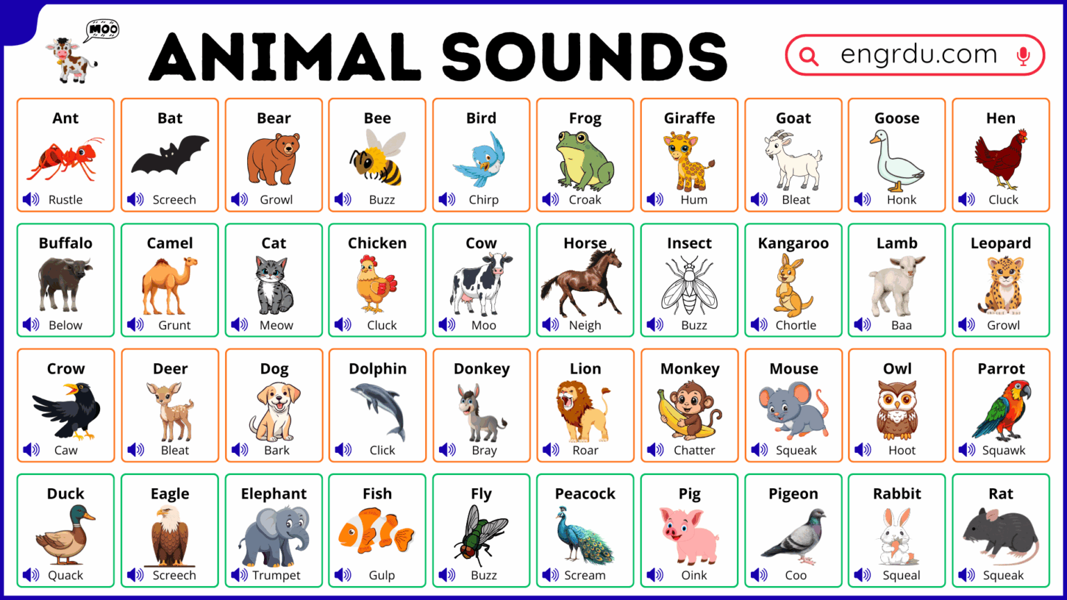 40+ Shapes Names for Kids in English with Pictures - Engrdu