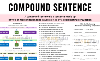 Compound Sentence Definition and Examples