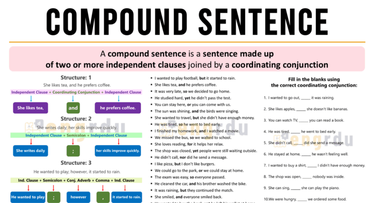 Compound Sentence Definition and Examples
