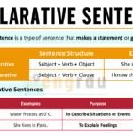 Declarative Sentence with Examples