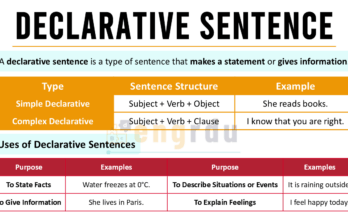 Declarative Sentence with Examples