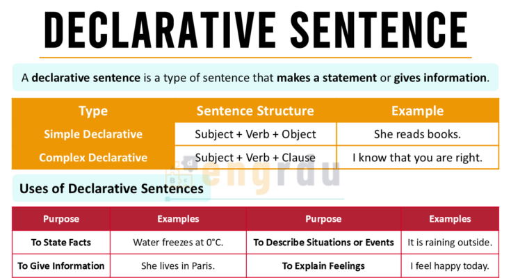 Declarative Sentence with Examples